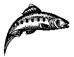 [FISH]